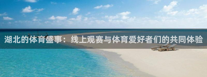玩球直播app下载：湖北的体育盛事：线上观赛与体育爱好者们的共同体验