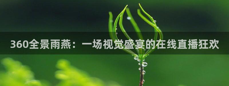 玩球吧直播：360全景雨燕：一场视觉盛宴的在线直播狂欢