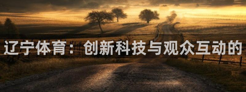 玩球直播app苹果：辽宁体育：创新科技与观众互动的