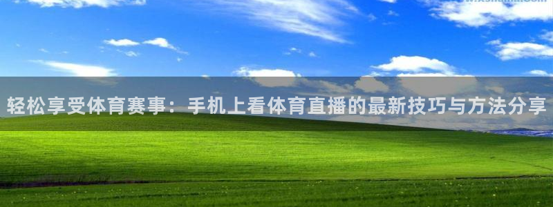 nba总决赛玩球直播：轻松享受体育赛事：手机上看体育直播的最新技巧与方法分享