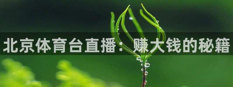 玩球直播app：北京体育台直播：赚大钱的秘籍