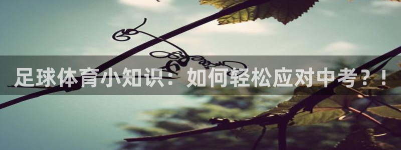 玩球直播app苹果下载：足球体育小知识：如何轻松应对中考？!