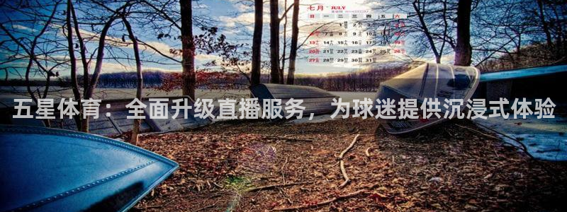 玩球直播ios版：五星体育：全面升级直播服务，为球迷提供沉浸式体验