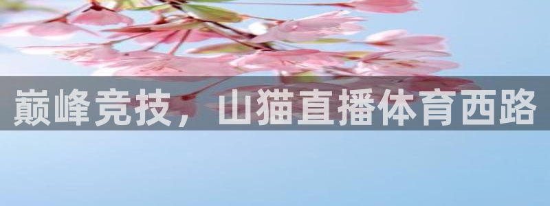 玩球的直播平台：巅峰竞技，山猫直播体育西路