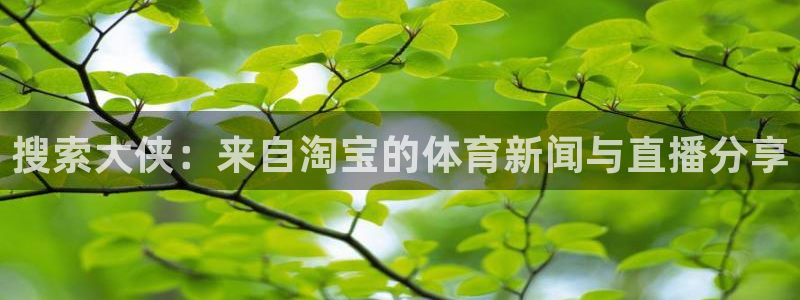 玩球直播下载ios：搜索大侠：来自淘宝的体育新闻与直播分享