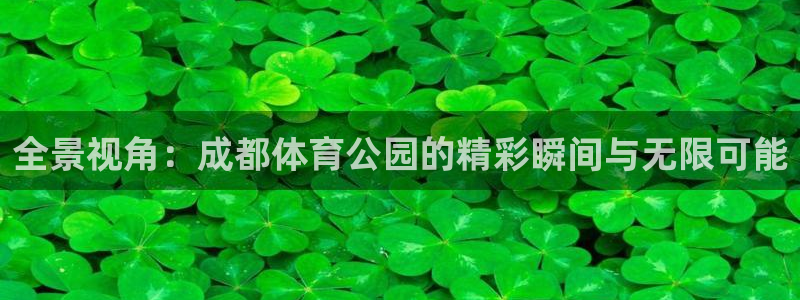 玩球视频：全景视角：成都体育公园的精彩瞬间与无限可能